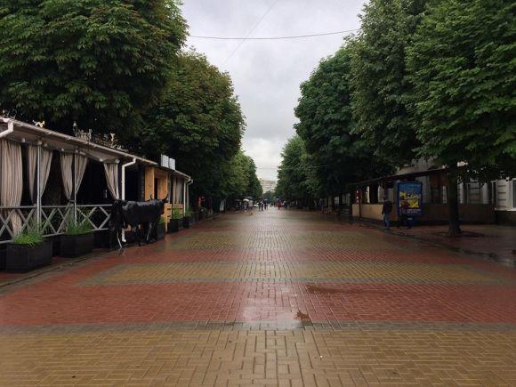 Дощові вихідні у Хмельницькому. Фото з вулиць міста, фото №9 на сайті vsim.ua