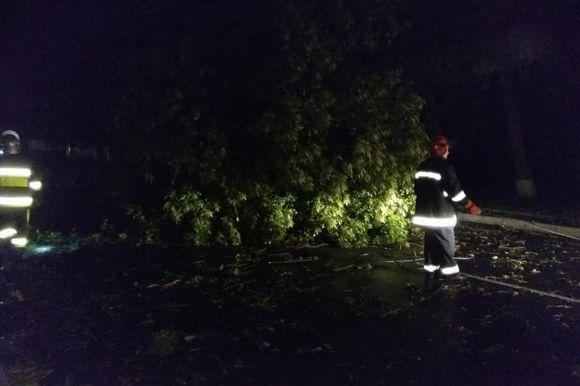 Повалені дерева, затоплені підвали та подвір’я: що наробила негода на Хмельниччині, фото №3 на сайті vsim.ua