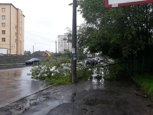 Новини Хмельницького - фото з Повалені дерева, затоплені підвали та подвір’я: що наробила негода на Хмельниччині Повалені дерева, затоплені підвали та подвір’я: що наробила негода на Хмельниччині, фото №1 на сайті vsim.ua