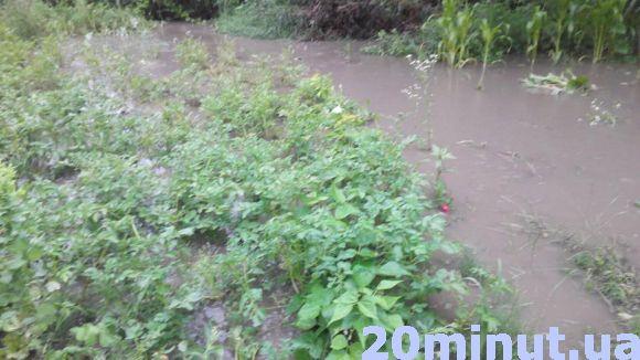 Новини Вінниці - фото з Води по коліна: на Тяжилові затопило будинки. Дісталося й Старому місту Води по коліна: на Тяжилові затопило будинки. Дісталося й Старому місту, фото №3 на сайті 20minut.ua