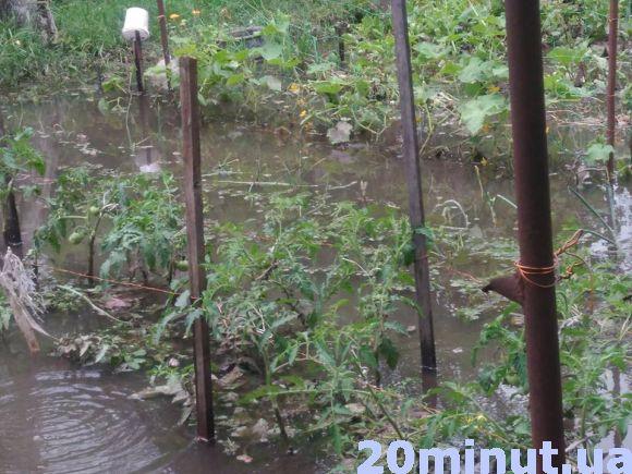 Новини Вінниці - фото з Води по коліна: на Тяжилові затопило будинки. Дісталося й Старому місту Води по коліна: на Тяжилові затопило будинки. Дісталося й Старому місту, фото №10 на сайті 20minut.ua