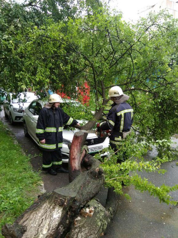 Новини Вінниці - фото з Буревій у Вінниці: на Литвиненка  дерево завалило автівку Буревій у Вінниці: на Литвиненка  дерево завалило автівку, фото №1 на сайті 20minut.ua