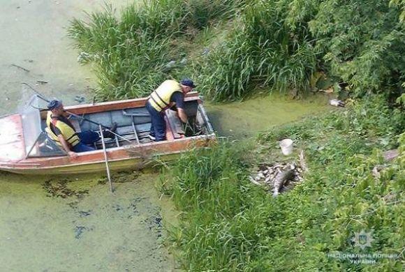 Події у Кам’янці-Подільському, які ви могли пропустити: ТОП-5 новин, фото №1 на сайті 20minut.ua