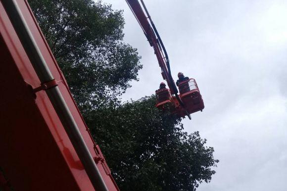 Про наслідки негоди у Хмельницькому: воду з підвалів відкачали, дерева з дороги забрали, фото №1 на сайті vsim.ua