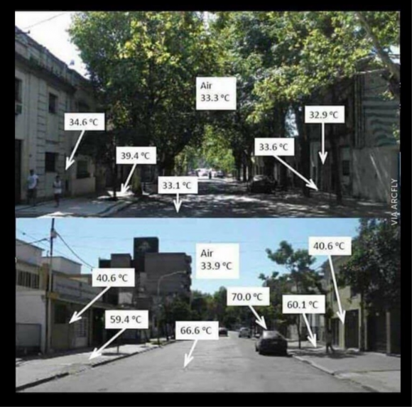 Петиції: просять змінити проект реконструкції вулиці Замостянської, фото №1 на сайті 20minut.ua