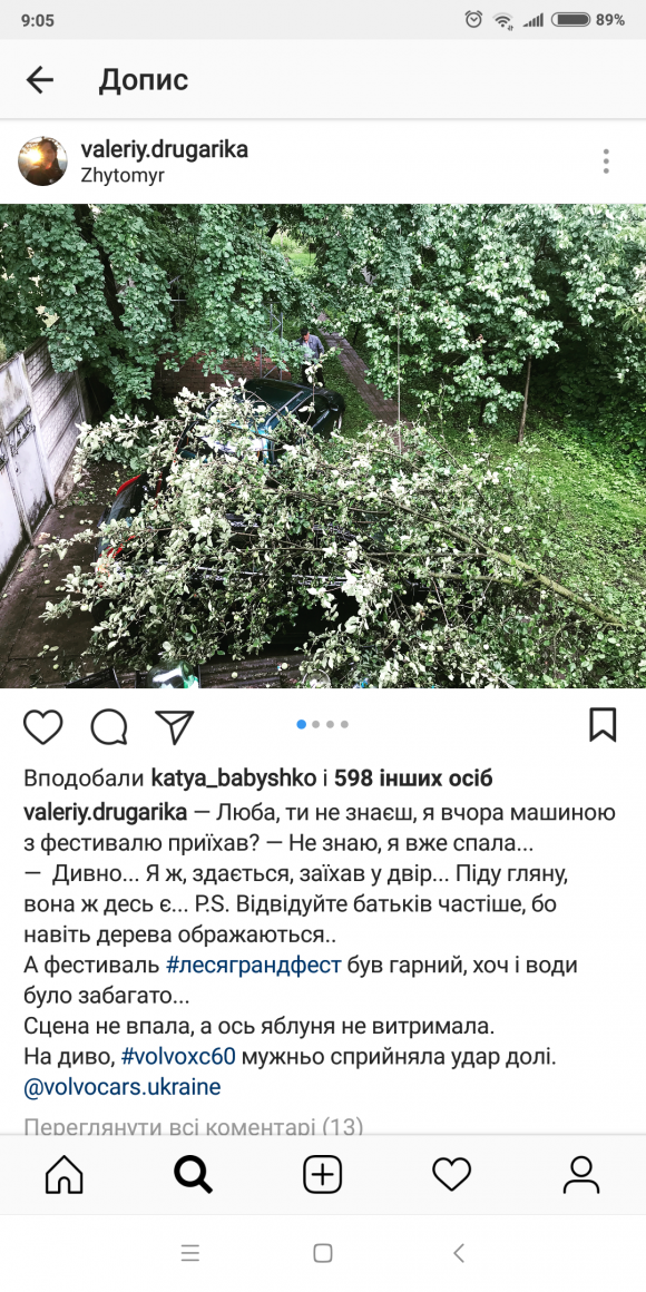 На автомобіль фронтмена "Другої ріки" впало дерево, фото №1 на сайті 20minut.ua