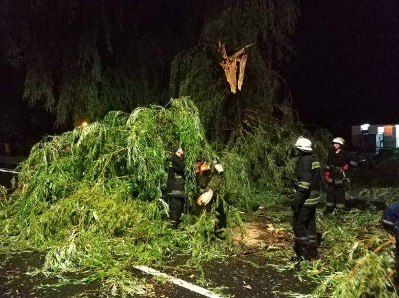 Наслідки негоди: рятувальники прибирали повалені дерева та відкачували воду з будинків, фото №5 на сайті 20minut.ua