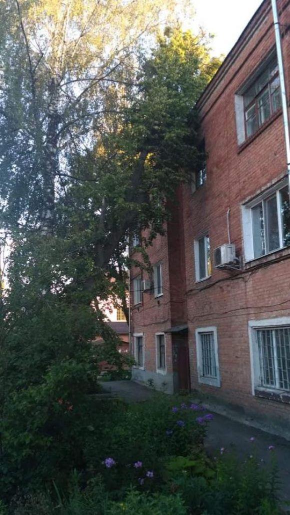 Наслідки негоди: рятувальники прибирали повалені дерева та відкачували воду з будинків, фото №1 на сайті 20minut.ua