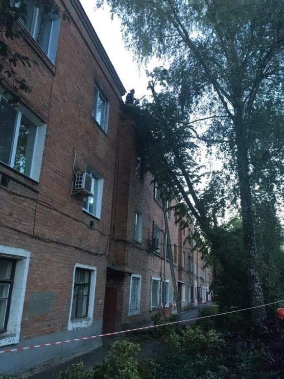 Наслідки негоди: рятувальники прибирали повалені дерева та відкачували воду з будинків, фото №2 на сайті 20minut.ua