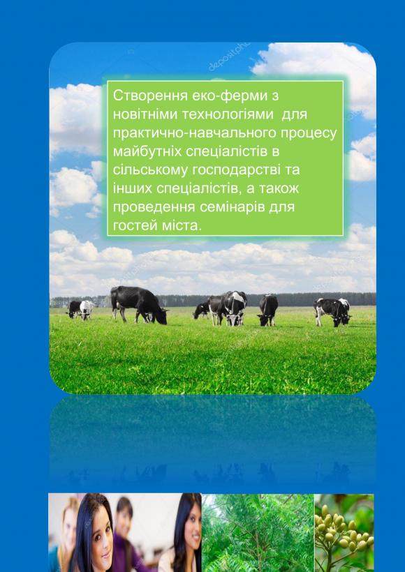 Житомиряни подали проектні пропозиції до "Бюджету участі", фото №6 на сайті 20minut.ua