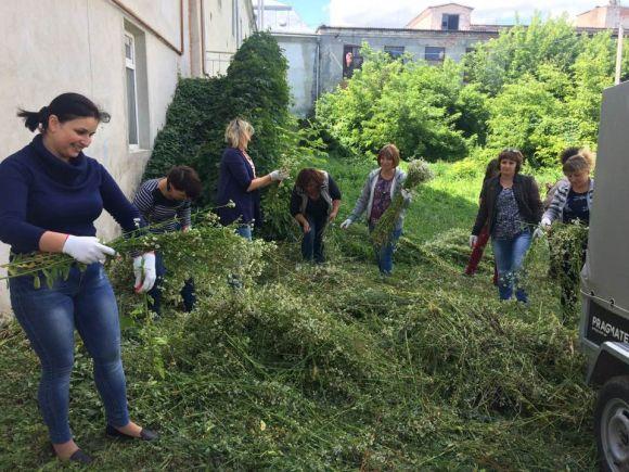 Новини Тернополя - фото з Фото дня: у Теребовлі плетуть найбільший в Україні Купальський вінок Фото дня: у Теребовлі плетуть найбільший в Україні Купальський вінок, фото №1 на сайті 20minut.ua