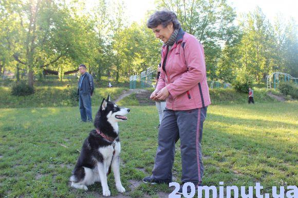 Для чого мучити і собаку, і співробітників. Як тернополяни ставляться до акції «Візьми собаку на роботу» (опитування), фото №5 на сайті 20minut.ua
