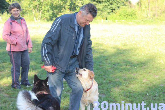 Для чого мучити і собаку, і співробітників. Як тернополяни ставляться до акції «Візьми собаку на роботу» (опитування), фото №1 на сайті 20minut.ua