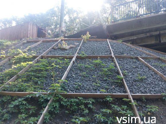 Ремонт за 12 мільйонів: коли завершать роботи на Старокостянтинівському мосту, фото №5 на сайті vsim.ua