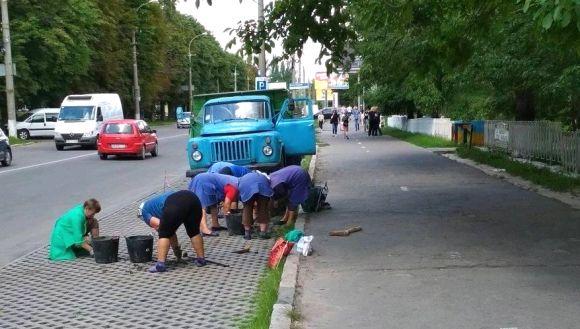 Новини Вінниці - фото з Фото дня: «екопарковки» на 600-річчя почали засівати травою Фото дня: «екопарковки» на 600-річчя почали засівати травою, фото №1 на сайті 20minut.ua