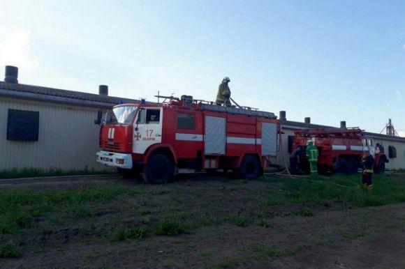 На Тернопільщині горіла птахоферма, де було близько 40 тис. курей, фото №1 на сайті 20minut.ua