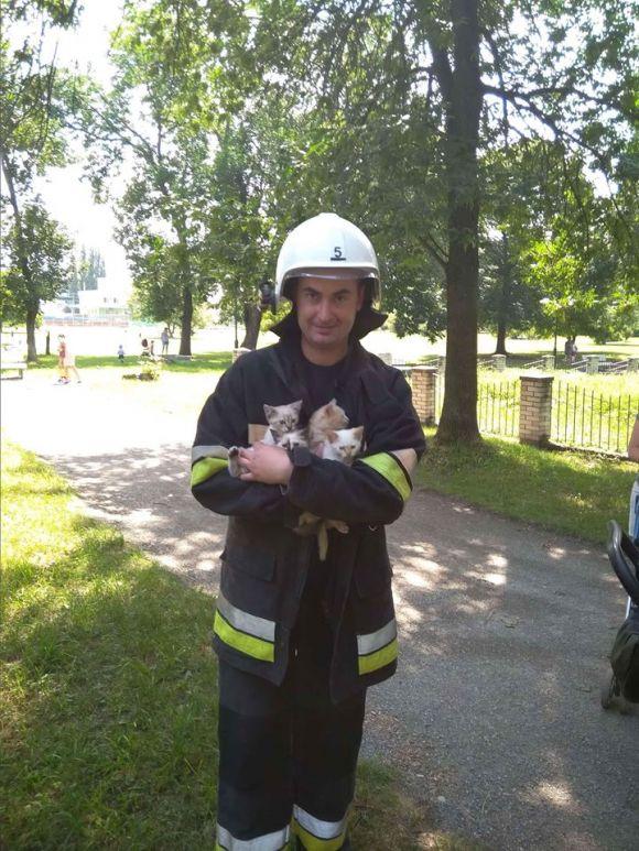 Новини Кам'янця-Подільського - фото з У Кам’янці пожежники зняли з дерева чотирьох кошенят (ФОТО) У Кам’янці пожежники зняли з дерева чотирьох кошенят (ФОТО), фото №1 на сайті 20minut.ua
