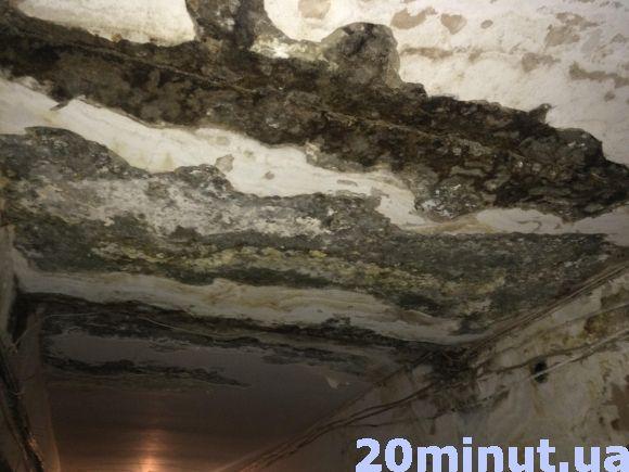 Новини Тернополя - фото з Грибок на стінах і коротке замикання через пробиті труби. Мешканці гуртожитку на Текстильній вимагають вирішення проблеми Грибок на стінах і коротке замикання через пробиті труби. Мешканці гуртожитку на Текстильній вимагають вирішення проблеми, фото №4 на сайті 20minut.ua