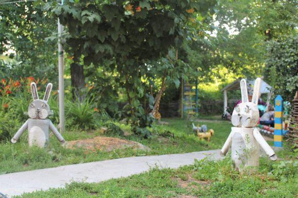 Зелений оазис замість пустиря. Як жінка змінила подвір'я на Коріатовичів, фото №1 на сайті 20minut.ua