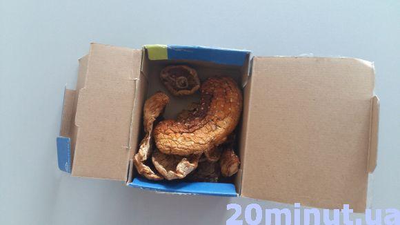 Новини Тернополя - фото з Щоб врятувати від отруєння грибами, кілька разів міняють плазму крові Щоб врятувати від отруєння грибами, кілька разів міняють плазму крові, фото №1 на сайті 20minut.ua