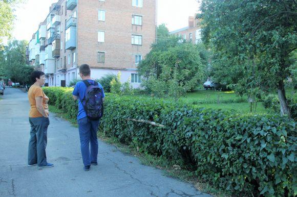 Зелений оазис замість пустиря. Як жінка змінила подвір'я на Коріатовичів, фото №5 на сайті 20minut.ua