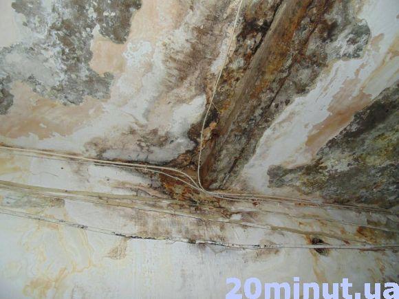 Новини Тернополя - фото з Грибок на стінах і коротке замикання через пробиті труби. Мешканці гуртожитку на Текстильній вимагають вирішення проблеми Грибок на стінах і коротке замикання через пробиті труби. Мешканці гуртожитку на Текстильній вимагають вирішення проблеми, фото №1 на сайті 20minut.ua