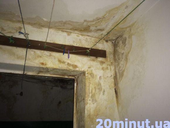 Новини Тернополя - фото з Грибок на стінах і коротке замикання через пробиті труби. Мешканці гуртожитку на Текстильній вимагають вирішення проблеми Грибок на стінах і коротке замикання через пробиті труби. Мешканці гуртожитку на Текстильній вимагають вирішення проблеми, фото №3 на сайті 20minut.ua