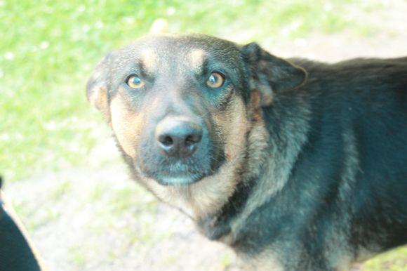 «Нас матюкають, але швидше не стане». Розмова з робітниками на Київському мосту, фото №3 на сайті 20minut.ua