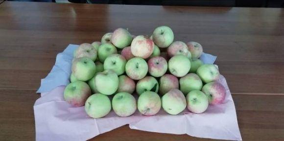 У Польщі проекти пишуть всі. Польський досвід місцевого економічного розвитку, фото №2 на сайті 20minut.ua