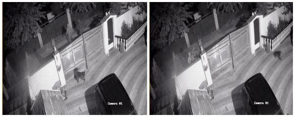 Щоб «віджати» все. Бандити тримали їх тиждень в заручниках заради мільйонів, фото №2 на сайті 20minut.ua