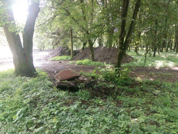 Будівництво парковки у парку Чекмана: до справи причетний забудовник Скочеляс, фото №3 на сайті vsim.ua