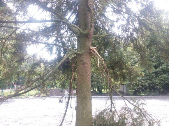 Будівництво парковки у парку Чекмана: до справи причетний забудовник Скочеляс, фото №5 на сайті vsim.ua