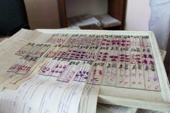 Новини Вінниці - фото з Тут все вирішує Любов: прогулянка кімнатами моргу Тут все вирішує Любов: прогулянка кімнатами моргу, фото №16 на сайті 20minut.ua