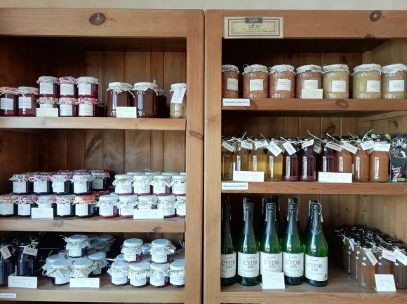 У Польщі проекти пишуть всі. Польський досвід місцевого економічного розвитку, фото №1 на сайті 20minut.ua