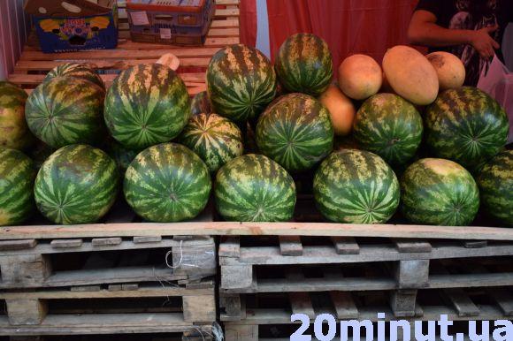 Новини Тернополя - фото з Як правильно обирати кавуни, радять тернополяни Як правильно обирати кавуни, радять тернополяни, фото №2 на сайті 20minut.ua