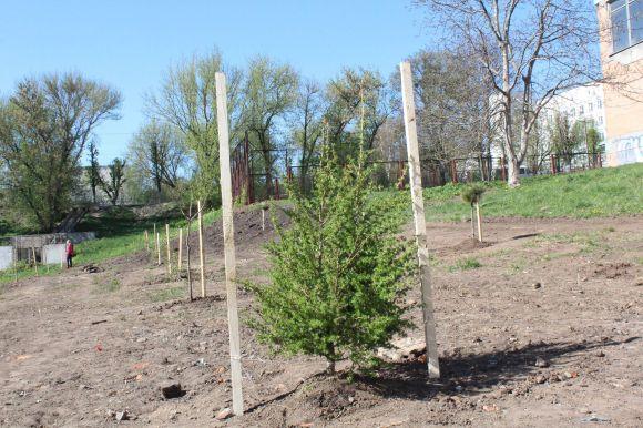 Сквер біля перинатального центру хочуть назвати на честь відомого лікаря. Як вам ідея?, фото №1 на сайті vsim.ua