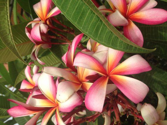 Новини Вінниці - фото з Ізраїль очима вінничан: як пройти митницю і побачити всю країну за 7 днів Ізраїль очима вінничан: як пройти митницю і побачити всю країну за 7 днів, фото №14 на сайті 20minut.ua