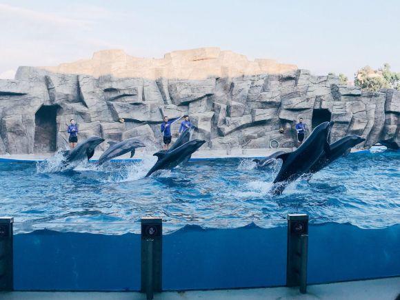 Екатерина Дорфман: Грузия – это любовь с первого взгляда, фото №9 на сайті 20minut.ua