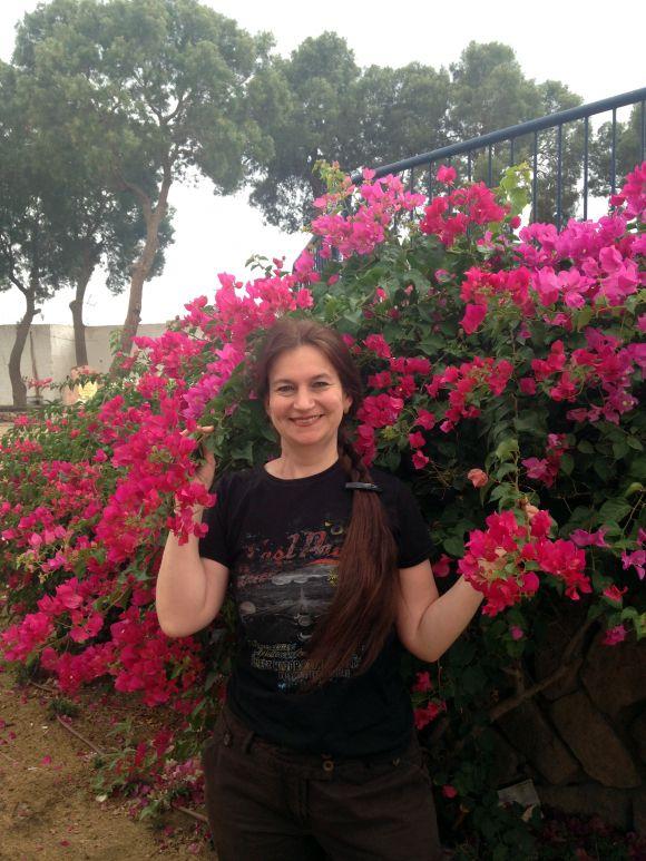 Новини Вінниці - фото з Ізраїль очима вінничан: як пройти митницю і побачити всю країну за 7 днів Ізраїль очима вінничан: як пройти митницю і побачити всю країну за 7 днів, фото №1 на сайті 20minut.ua