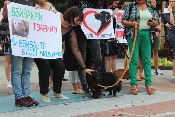 Новини Вінниці - фото з Акція захисту: «Вбиваючи тварину — вбиваєте в собі людину» Акція захисту: «Вбиваючи тварину — вбиваєте в собі людину», фото №4 на сайті 20minut.ua