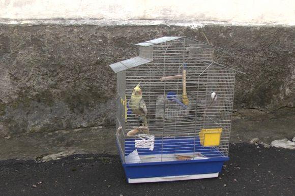 Новини Хмельницького - фото з На Подільській горіла квартира На Подільській горіла квартира, фото №1 на сайті vsim.ua