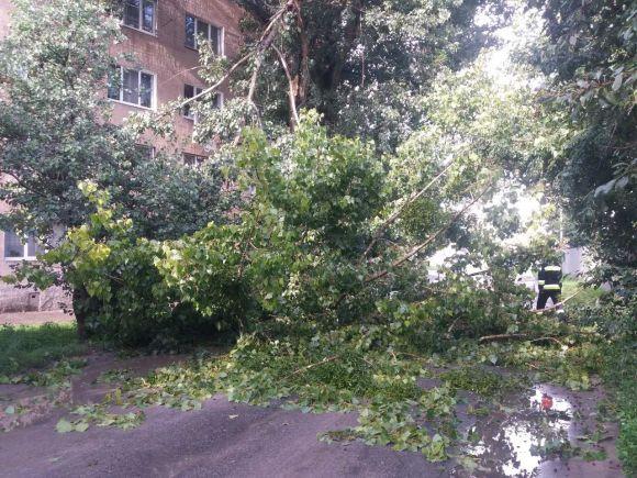 Новини Вінниці - фото з Буря у Вінниці: на вулиці Пирогова повалене дерево впало на балкон Буря у Вінниці: на вулиці Пирогова повалене дерево впало на балкон, фото №1 на сайті 20minut.ua