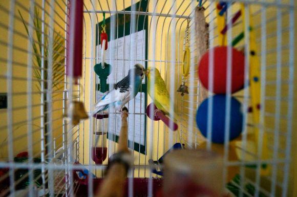 Новини Вінниці - фото з Рейд по вінницьких їдальнях: як і чим годують у лікарні Пирогова Рейд по вінницьких їдальнях: як і чим годують у лікарні Пирогова, фото №4 на сайті 20minut.ua