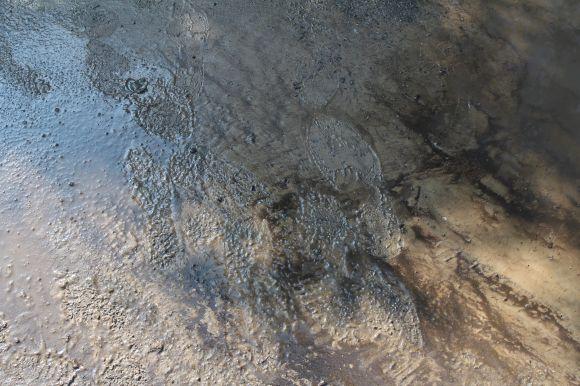 Новини Вінниці - фото з Поряд оазис, а в нас болото: проблема жителів на Космонавтів Поряд оазис, а в нас болото: проблема жителів на Космонавтів, фото №4 на сайті 20minut.ua