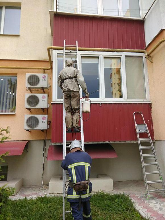 У Кам’янці на балконі стоматології поселилися оси, фото №1 на сайті 20minut.ua