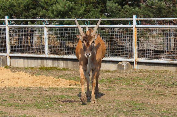 Розваги на тиждень: ТОП-7 ідей, як батькам відпочити із дітьми у Вінниці, фото №7 на сайті 20minut.ua