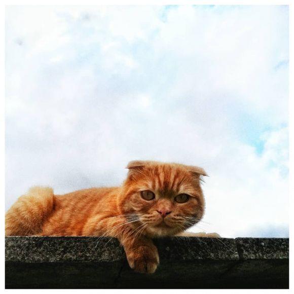 Новини Вінниці - фото з Вінниця в Instagram. Кращі фото за 23-29 липня Вінниця в Instagram. Кращі фото за 23-29 липня, фото №13 на сайті 20minut.ua