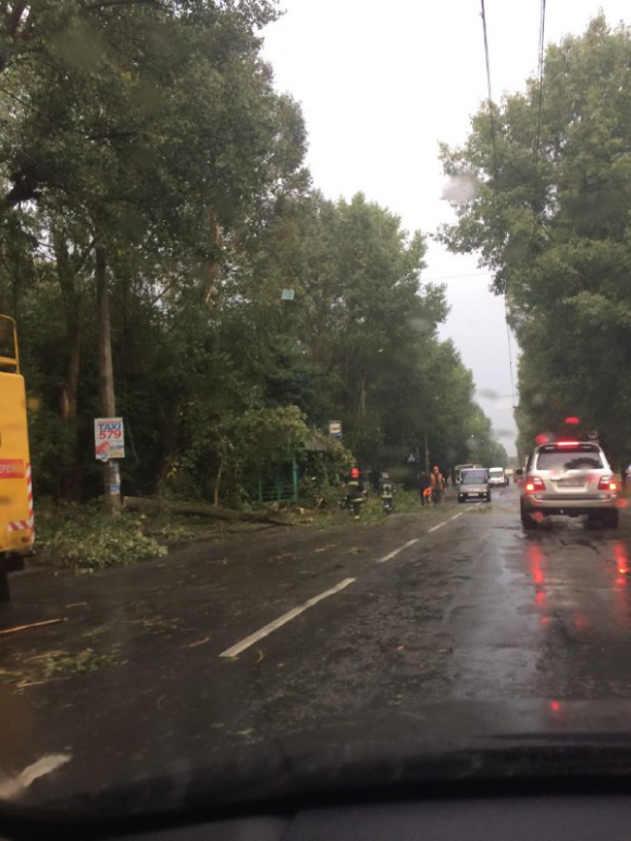 Новини Хмельницького - фото з У Хмельницькому негода повалила дерева на автомобілі та тролейбусні лінії У Хмельницькому негода повалила дерева на автомобілі та тролейбусні лінії, фото №6 на сайті vsim.ua