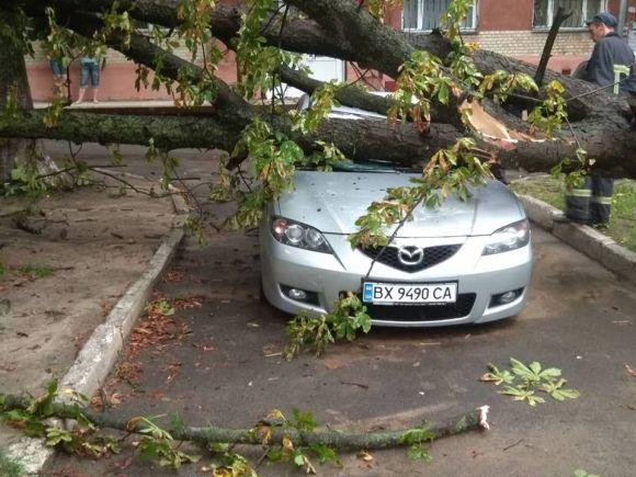 У Хмельницькому негода повалила дерева на автомобілі та тролейбусні лінії, фото №3 на сайті vsim.ua