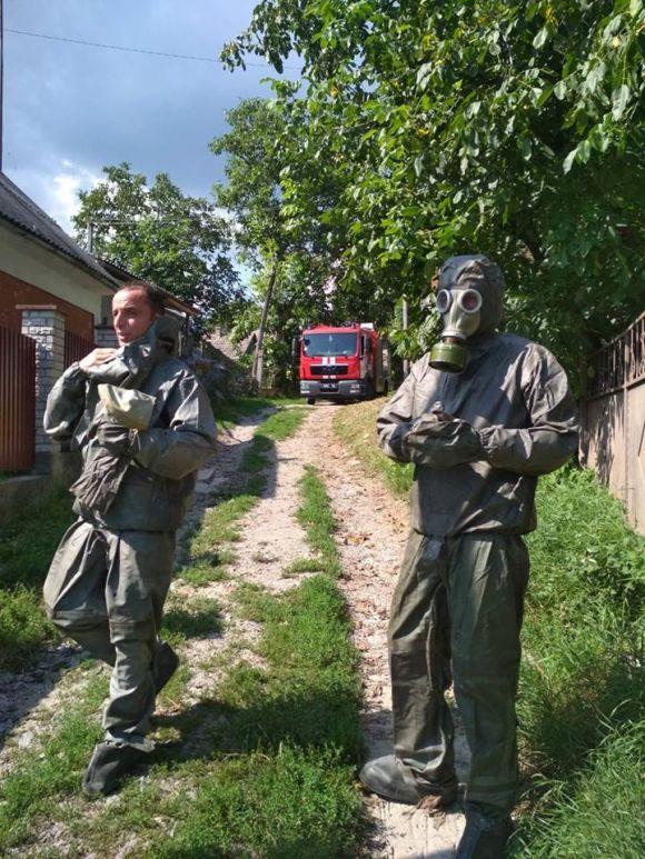 Новини Кам'янця-Подільського - фото з У Кам’янці рятувальники знищили рій шершнів на горищі споруди (ФОТО) У Кам’янці рятувальники знищили рій шершнів на горищі споруди (ФОТО), фото №1 на сайті 20minut.ua